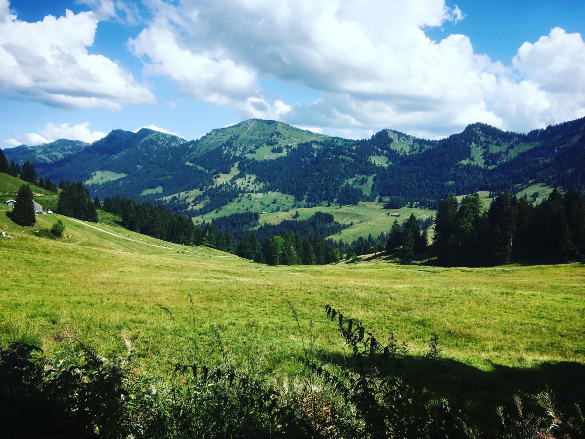 Ferienwohnung Sonneck Oberstaufen Esterno foto