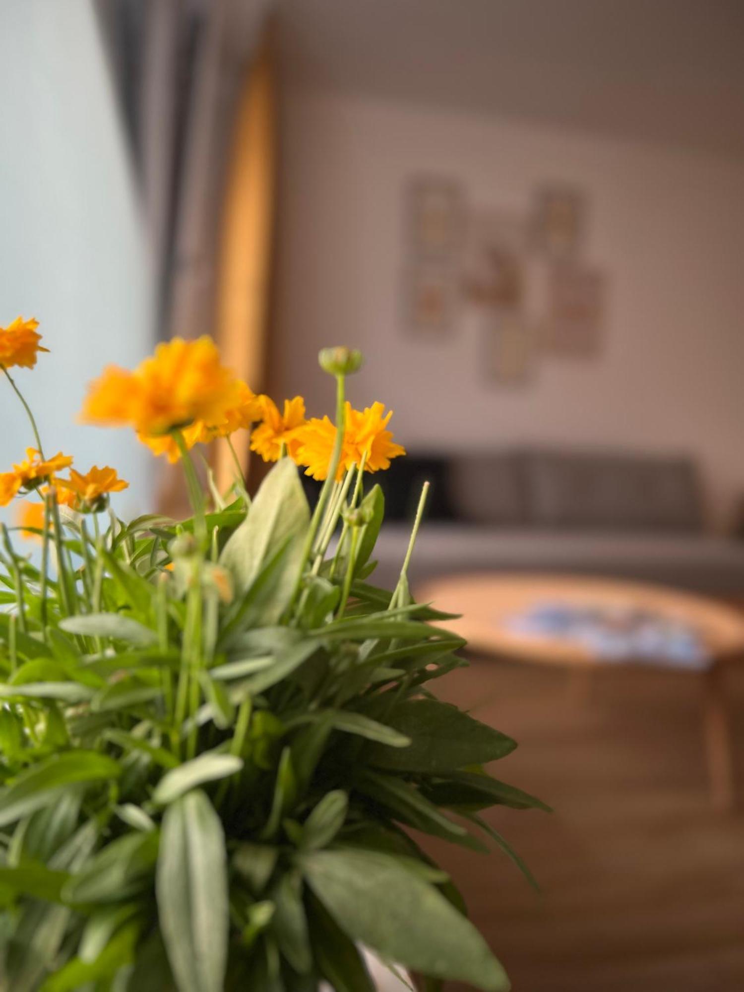 Ferienwohnung Sonneck Oberstaufen Esterno foto