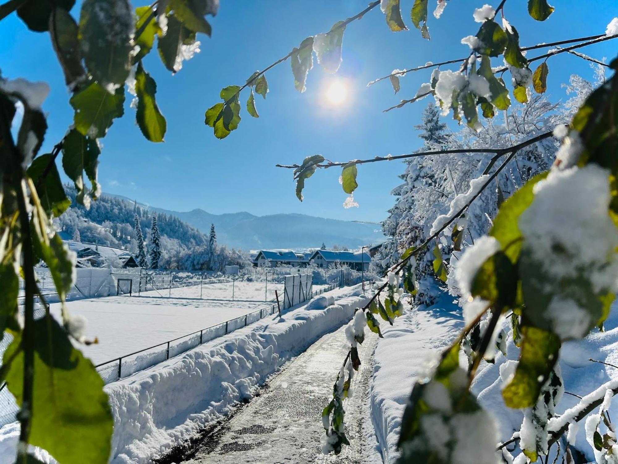 Ferienwohnung Sonneck Oberstaufen Esterno foto